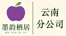 分公司1